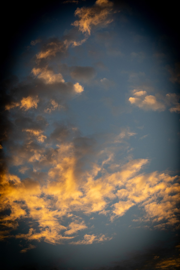 6C9A0193.jpg