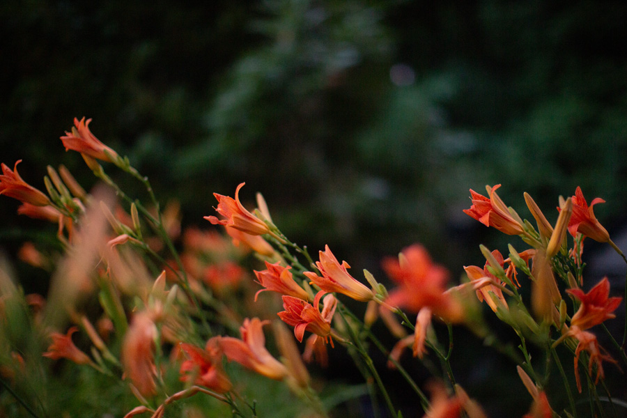5S6A4406.jpg