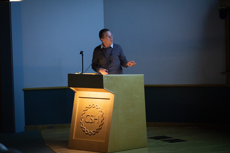 6C9A9424.jpg