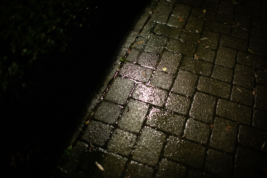 1S2A9370.jpg