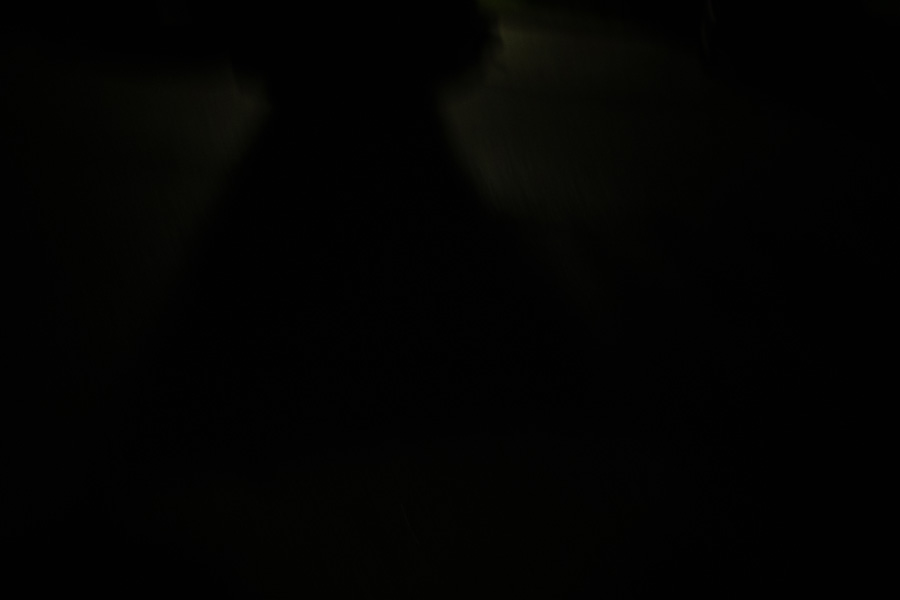 1S2A9374.jpg