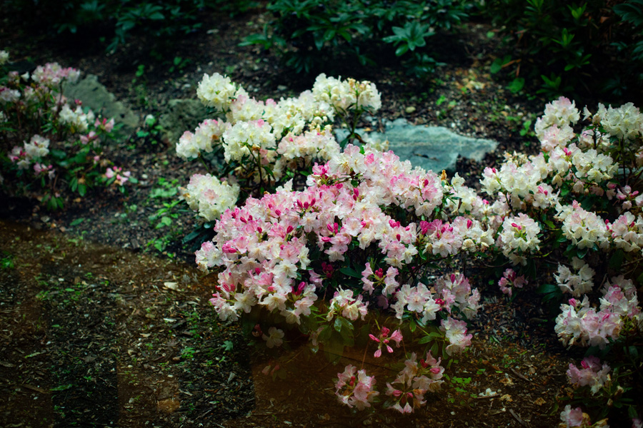5S6A0874.jpg