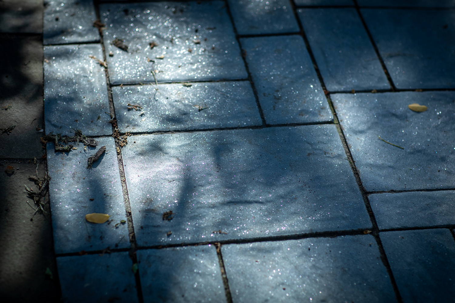 1K6A1911.jpg