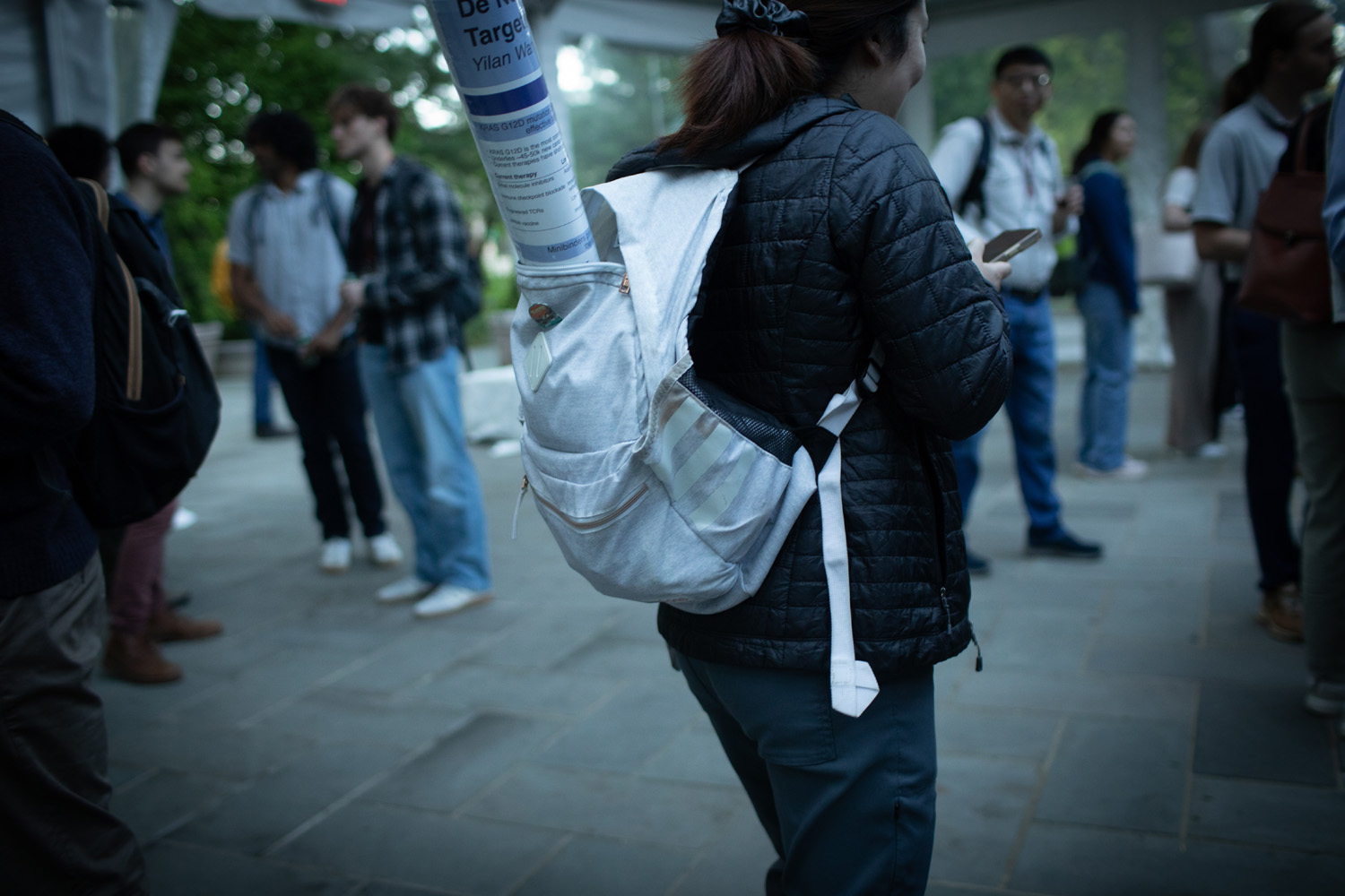 1S2A3711.jpg