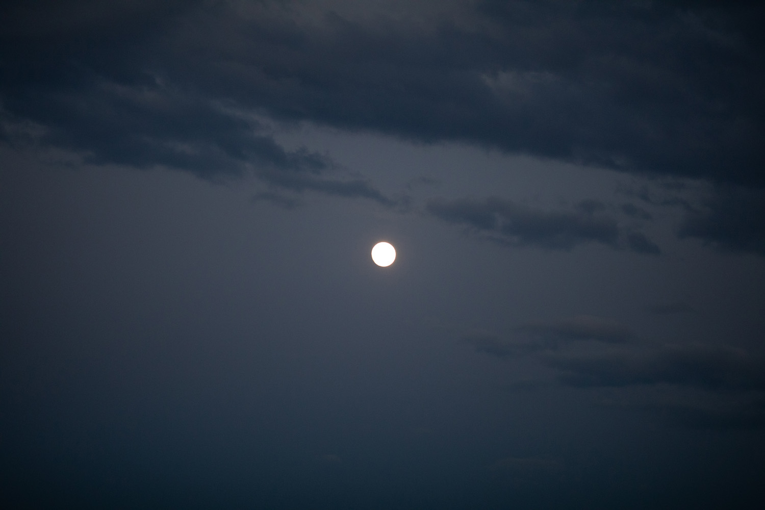 6C9A2406.jpg