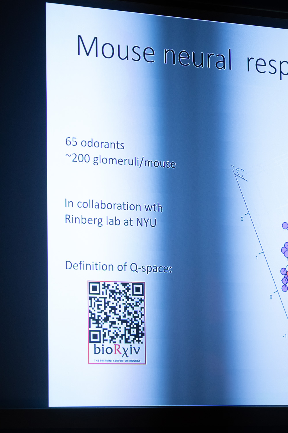 6C9A2465.jpg