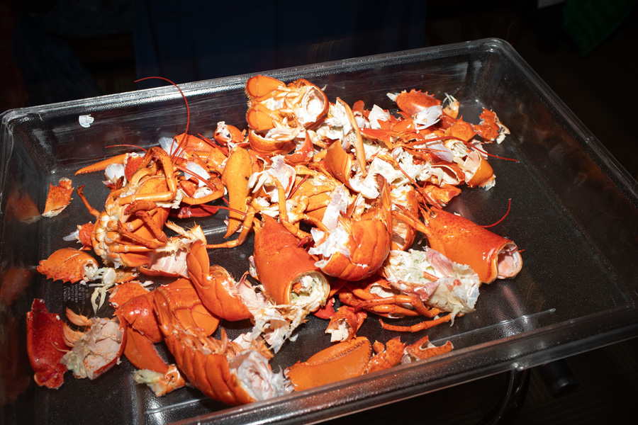 6C9A6228_A.jpg