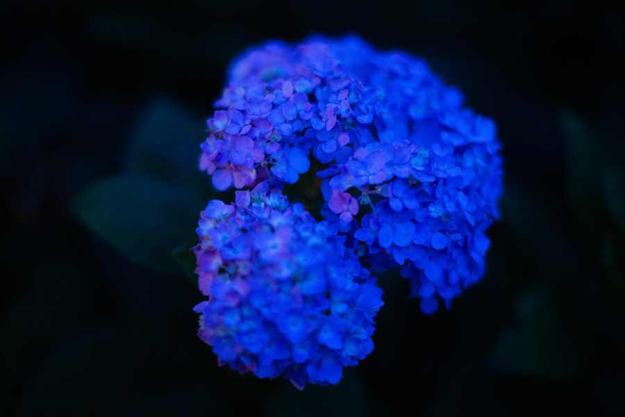 5S6A7304.jpg
