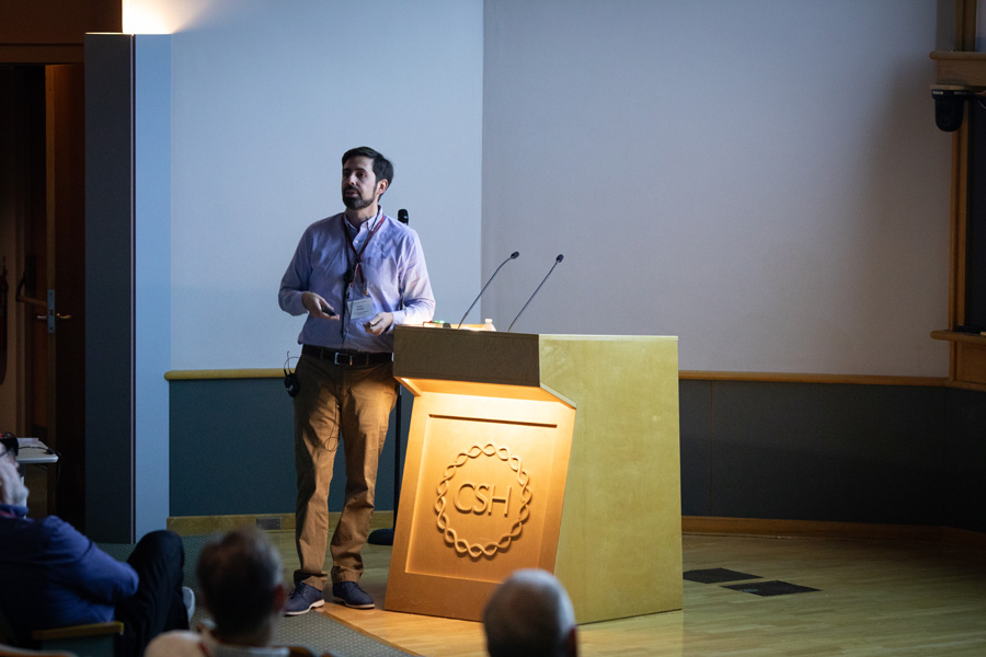 6C9A9005.jpg