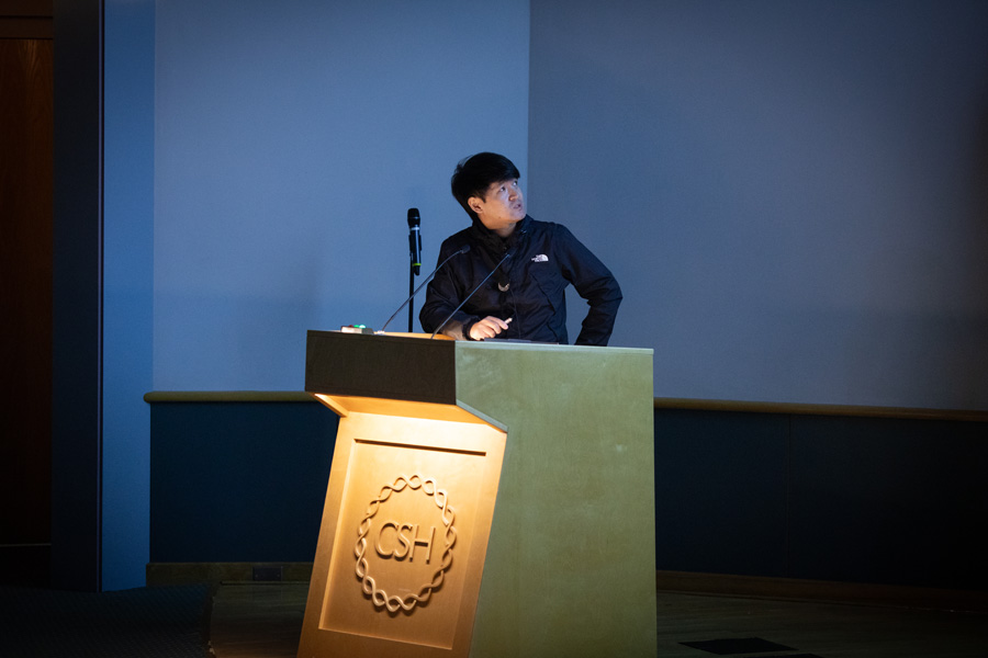 6C9A9093.jpg