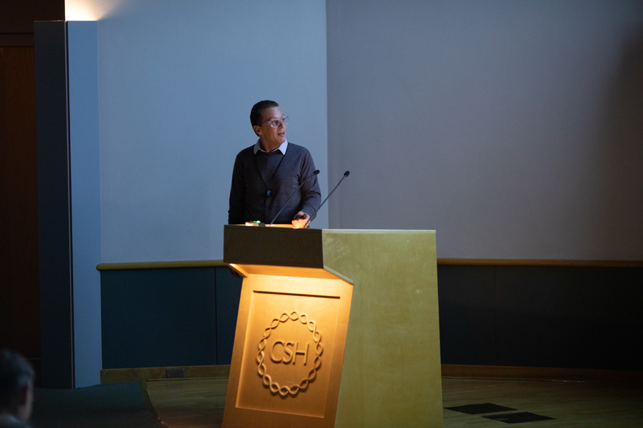6C9A9425.jpg