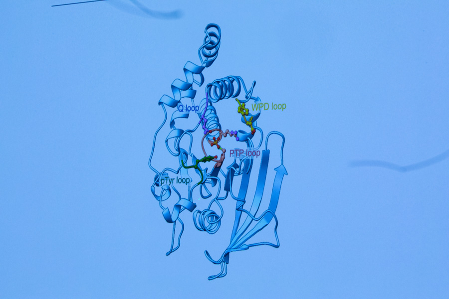 6C9A9795.jpg
