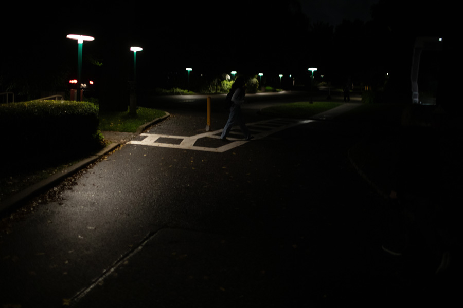 1S2A9365.jpg