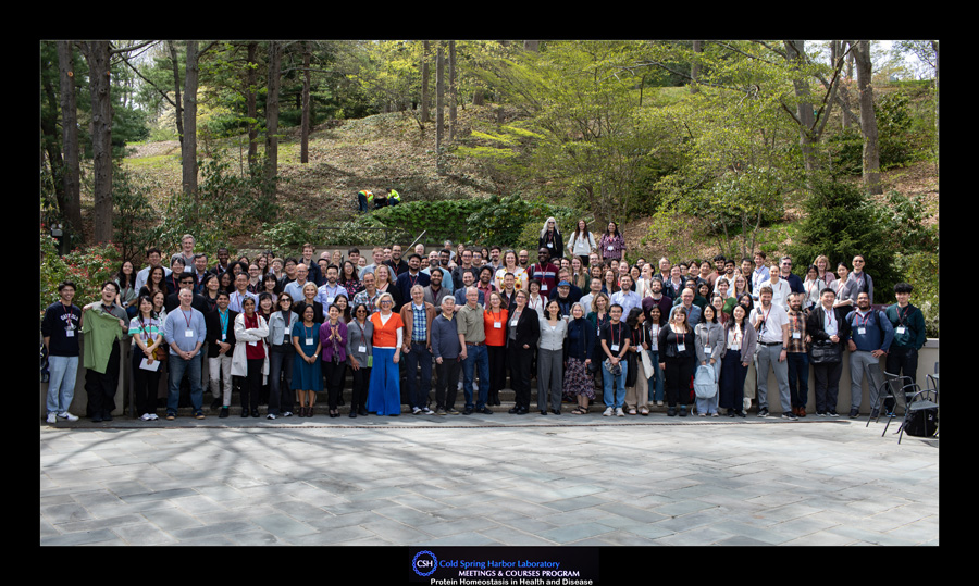1S2A7602_heat_group.jpg