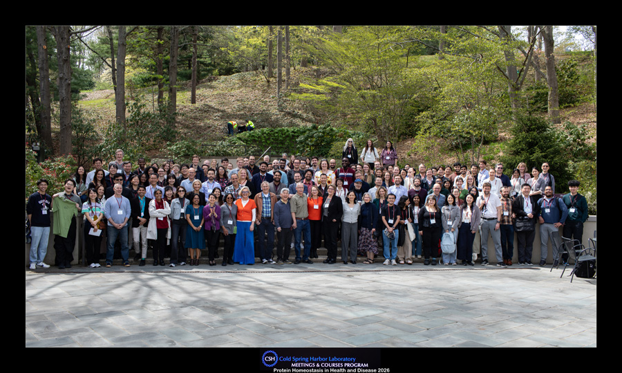 1S2A7602_heat_group_2026.jpg