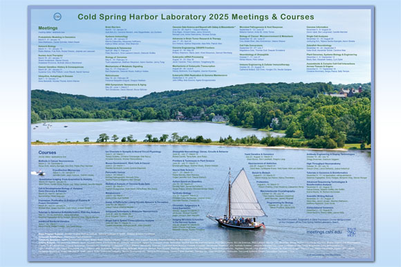2025 CSHL Meetings & Courses Poster